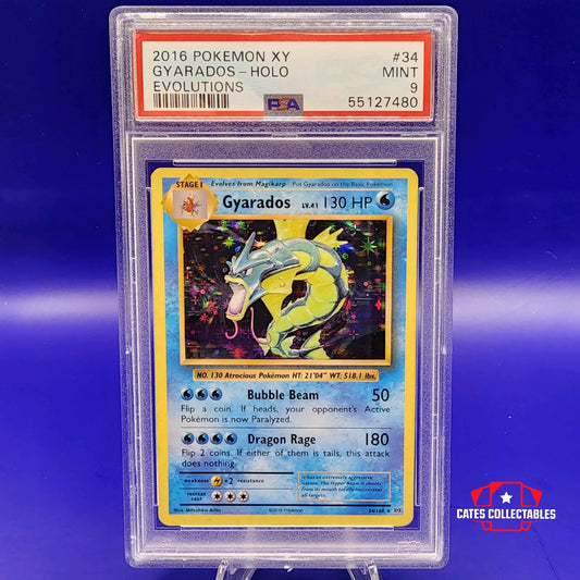 Pokemon Gyarados PSA 9 Evolutions Set